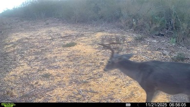 (private lake, pond, creek) Acreage For Sale in Fowlerton Texas