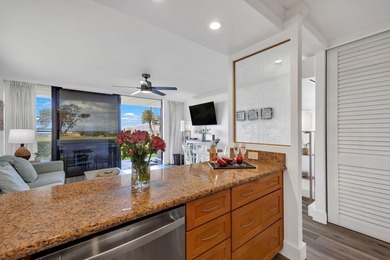 Welcome to Luana Kai A-101, the pinnacle of North Kihei - photo 15