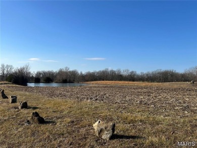 (private lake, pond, creek) Lot For Sale in Chester Illinois