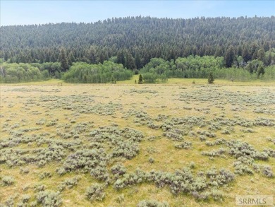 Henrys Lake Acreage For Sale in Island Park Idaho