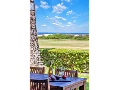 Welcome to Luana Kai A-101, the pinnacle of North Kihei - photo 22