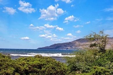 Welcome to Luana Kai A-101, the pinnacle of North Kihei - photo 27