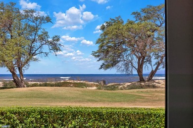 Welcome to Luana Kai A-101, the pinnacle of North Kihei - photo 28