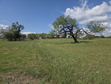 Beautiful Waterview lake lot cleared and ready for your lake life - photo 7