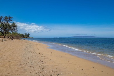 Welcome to Luana Kai A-101, the pinnacle of North Kihei - photo 31