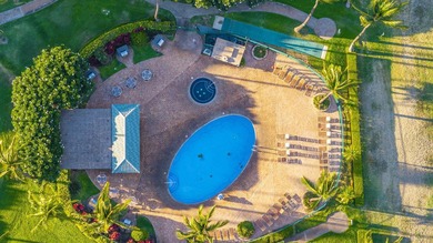 Welcome to Luana Kai A-101, the pinnacle of North Kihei - photo 35