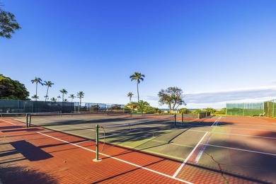 Welcome to Luana Kai A-101, the pinnacle of North Kihei - photo 39