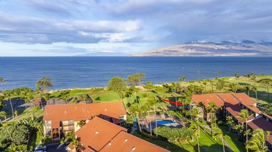 Welcome to Luana Kai A-101, the pinnacle of North Kihei - photo 41