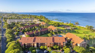 Welcome to Luana Kai A-101, the pinnacle of North Kihei - photo 42