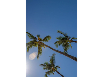 Welcome to Luana Kai A-101, the pinnacle of North Kihei - photo 45