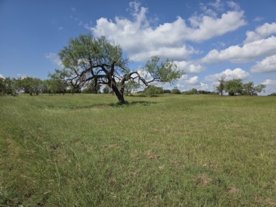 Beautiful Waterview lake lot cleared and ready for your lake life - photo 9
