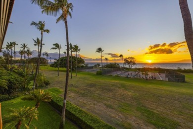 Welcome to Luana Kai A-101, the pinnacle of North Kihei - photo 47