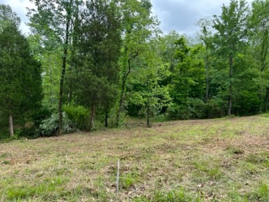 SELLERS ARE OPEN TO AN OFFER! so DON'T DELAY! - Lake Lot For Sale in Falls Of Rough, Kentucky