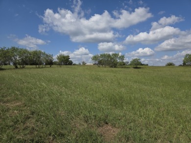 Beautiful Waterview lake lot cleared and ready for your lake life - photo 12