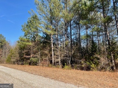 Now Available- 2.44 acres private fronting Lake Russell in gated - photo 2