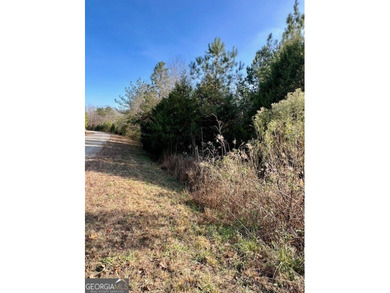 Now Available- 2.44 acres private fronting Lake Russell in gated - photo 8