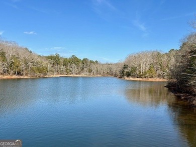 Now Available- 2.44 acres private fronting Lake Russell in gated - photo 10