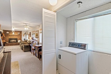 New interior/Exterior Paint and flooring updates Spring 2026 - photo 37