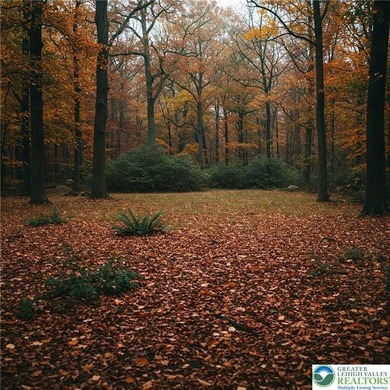 Robinson Lake Lot For Sale in Pike Pennsylvania