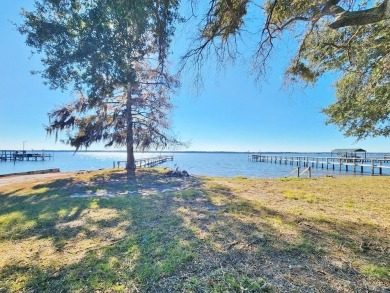 Lake Home Sale Pending in Summerton, South Carolina