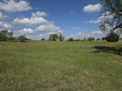 Beautiful Waterview lake lot cleared and ready for your lake life - photo 14