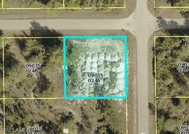 Lehigh Acres Area Lot For Sale in Lehigh Acres Florida