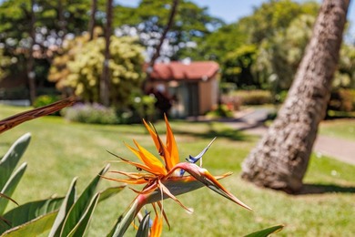 Welcome to Maui Vista Resort! Favored for its direct proximity - photo 31