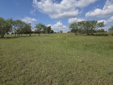 Beautiful Waterview lake lot cleared and ready for your lake life - photo 16