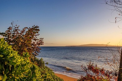 Welcome to Maui Vista Resort! Favored for its direct proximity - photo 36