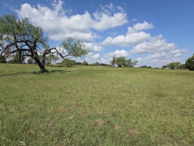 Beautiful Waterview lake lot cleared and ready for your lake life - photo 11