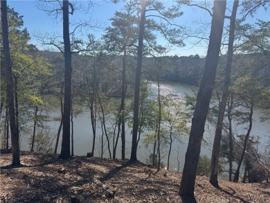 Lake Acreage For Sale in Northport, Alabama