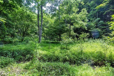 North Fork Holston River Acreage For Sale in Bristol Virginia