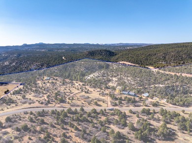 SELLER FINANCE @ 5.5% - Rare multi-parcel opportunity located on - photo 3