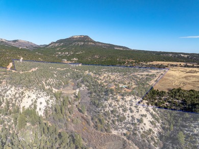 SELLER FINANCE @ 5.5% - Rare multi-parcel opportunity located on - photo 5
