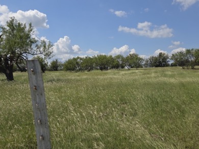 Beautiful Waterview lake lot cleared and ready for your lake life - photo 18