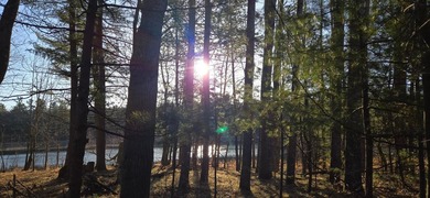 Discover the perfect Northwoods escape on beautiful Bayer Lake - photo 12