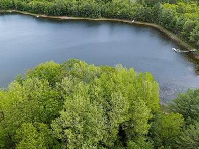 Discover the perfect Northwoods escape on beautiful Bayer Lake - photo 13