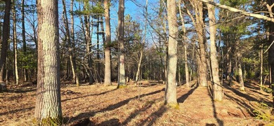 Discover the perfect Northwoods escape on beautiful Bayer Lake - photo 15
