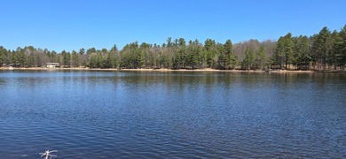 Discover the perfect Northwoods escape on beautiful Bayer Lake - photo 17