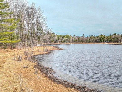 Discover the perfect Northwoods escape on beautiful Bayer Lake - photo 19