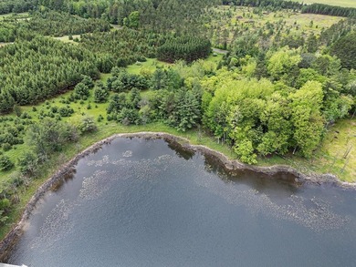 Discover the perfect Northwoods escape on beautiful Bayer Lake - photo 21