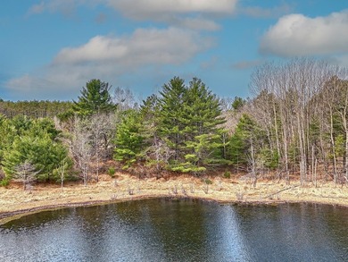 Discover the perfect Northwoods escape on beautiful Bayer Lake - photo 26