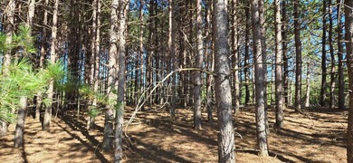 Discover the perfect Northwoods escape on beautiful Bayer Lake - photo 28