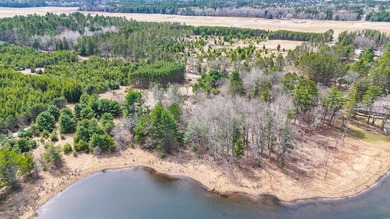 Discover the perfect Northwoods escape on beautiful Bayer Lake - photo 35