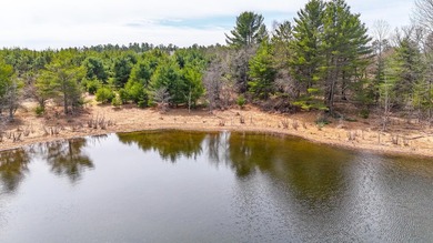 Discover the perfect Northwoods escape on beautiful Bayer Lake - photo 36