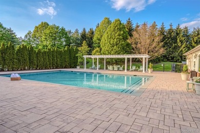 Welcome to 11 Belvedere Court, Manhasset, located within the - photo 44