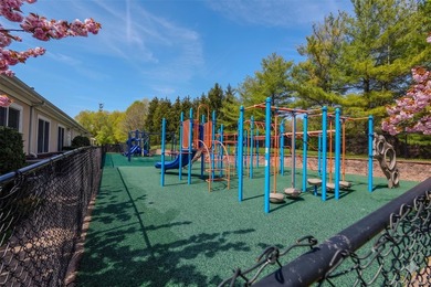 Welcome to 11 Belvedere Court, Manhasset, located within the - photo 46