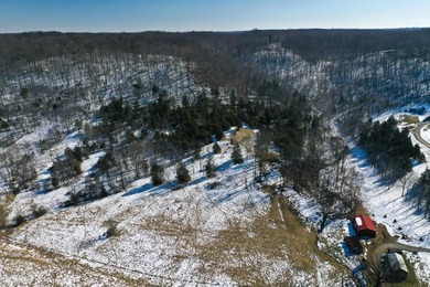 -This exceptional 60 acre property offers a rare combination of - photo 46