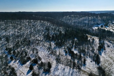 -This exceptional 60 acre property offers a rare combination of - photo 49