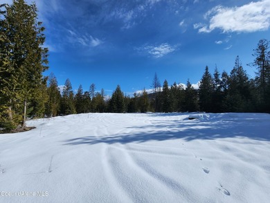 Discover your North ID mountain retreat on this exceptional - photo 18